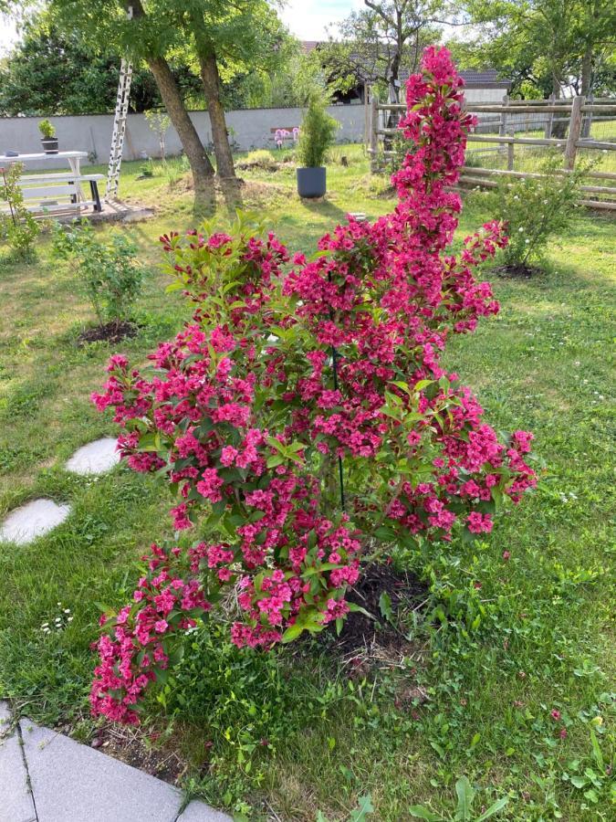 Apartment Domaine Nature Bernecourt